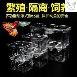 大魚缸隔離盒養小魚：大魚缸隔離盒養小魚需要注意水質管理、水質管理的要點