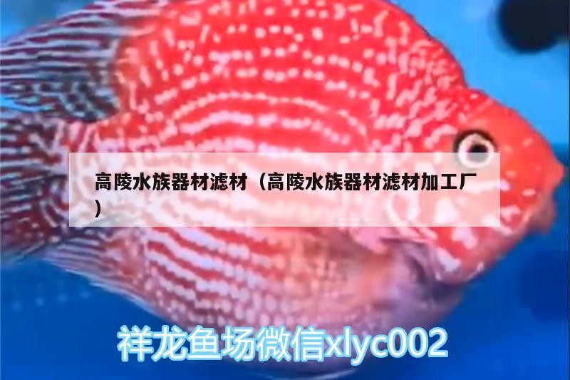 高陵<strong><mark>水族器材</mark></strong>濾材（高陵<strong><mark>水族器材</mark></strong>濾材加工廠）