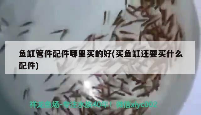 異型魚魚缸尺寸選擇異型魚魚缸尺寸選擇的重要性及相關(guān)考慮，異型魚魚缸多大合適