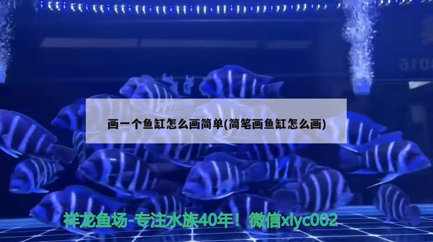 異型魚魚缸尺寸選擇異型魚魚缸尺寸選擇的重要性及相關(guān)考慮，異型魚魚缸多大合適