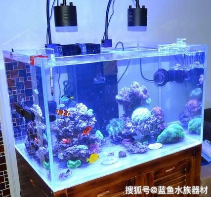 昆明市盤龍區(qū)森鑫水族店（昆明市盤龍區(qū)森鑫水族店地址）