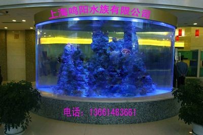 大型魚缸訂制價格多少:大型魚缸定制價格受多種因素影響大型魚缸價格受多種因素影響 魚缸百科 第1張 大型魚缸訂制價格多少:大型魚缸定制價格受多種因素影響大型魚缸價格受多種因素影響 大型魚缸訂制價格多少:大型魚缸定制價格受多種因素影響大型魚缸價格受多種因素影響 魚缸百科 第1張