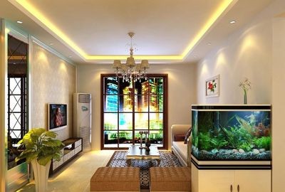 對(duì)入戶(hù)門(mén)放魚(yú)缸好嗎：放魚(yú)缸在入戶(hù)門(mén)的位置在風(fēng)水學(xué)中的位置在風(fēng)水學(xué)中的作用