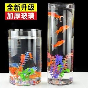 濟寧市市中區創立水族館（濟寧市市中區創立水族館電話）