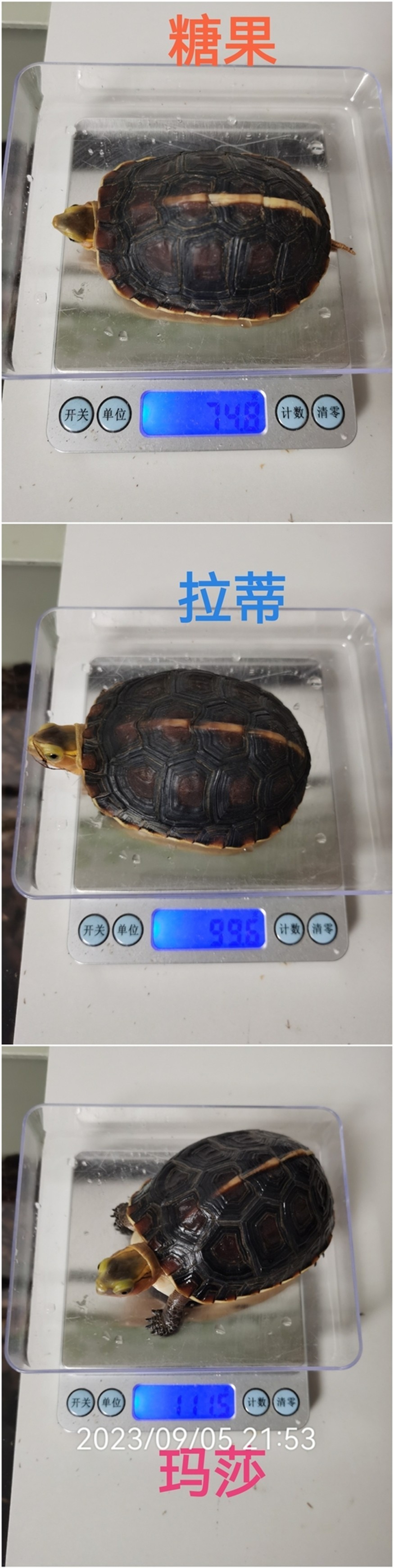 又長大啦不少，加油