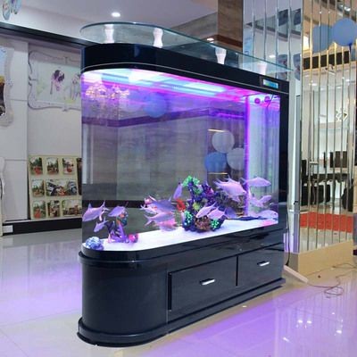 超白魚缸和浮法魚缸哪個好養(yǎng)：超白玻璃魚缸的特點