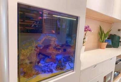 大魚缸怎么裝飾：大魚缸裝飾魚缸風水知識不僅要考慮美觀還要考慮美觀 大魚缸怎么裝飾：大魚缸裝飾魚缸風水知識不僅要考慮美觀還要考慮美觀 魚缸百科 第3張