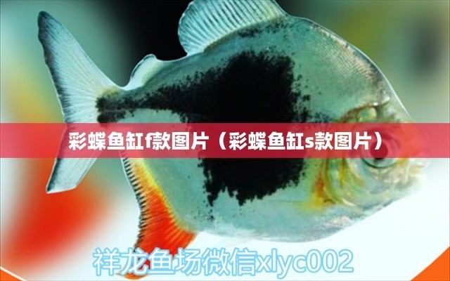 養(yǎng)魚魚缸水變綠（養(yǎng)魚魚缸水變綠怎么回事）