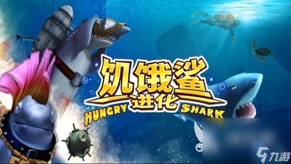 呆萌小鯊魚（呆萌小鯊魚是一種什么樣的存在？）