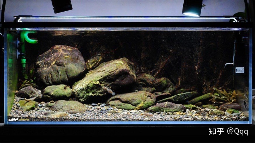 不用打理的魚缸造景方法視頻：不用打理的魚缸造景方法視頻教學魚缸造景視頻教學