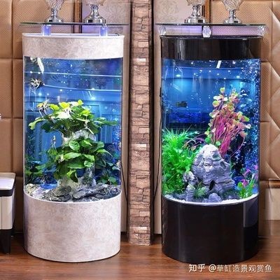 不用打理的魚缸造景方法視頻：不用打理的魚缸造景方法視頻教學魚缸造景視頻教學