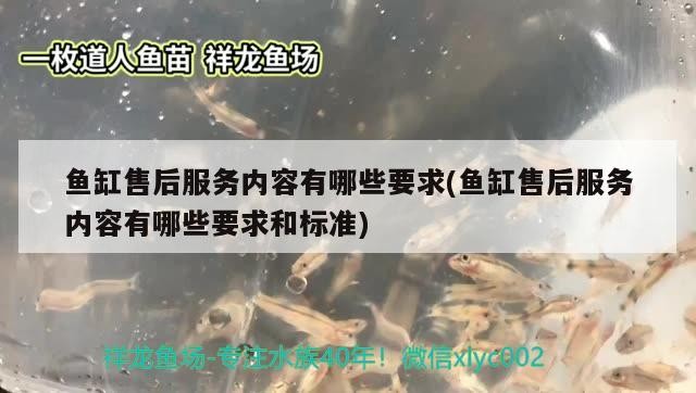 太北虎和泰虎的區(qū)別，如何讓虎魚不躲在角落