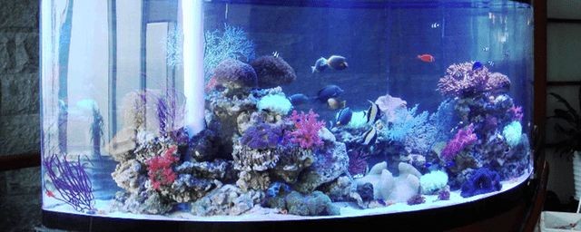 大魚缸氧氣泵不冒泡影響供氧嗎：魚缸氧氣泵不冒氣泡的原因