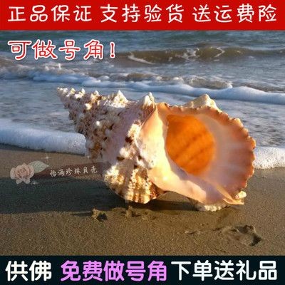 給大魚缸換水的作文:體驗給大魚缸換水的樂趣:體驗給大魚缸換水:給大魚缸換水的作文 出售二手魚缸去哪個網站好:二手魚缸出售平臺 魚缸百科 出售二手魚缸去哪個網站好:二手魚缸出售平臺 出售二手魚缸去哪個網站好:二手魚缸出售平臺 魚缸百科