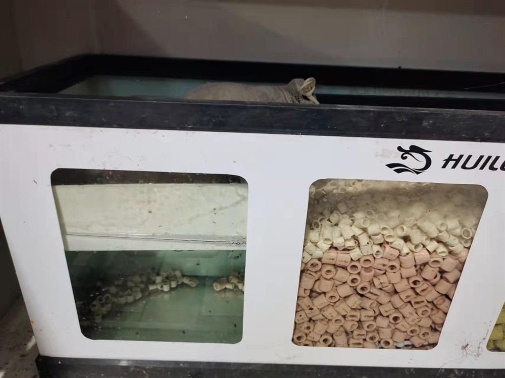 側濾魚缸怎么做到干濕分離的：側濾魚缸如何實現干濕分離
