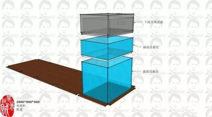 側濾魚缸怎么做到干濕分離的：側濾魚缸如何實現干濕分離