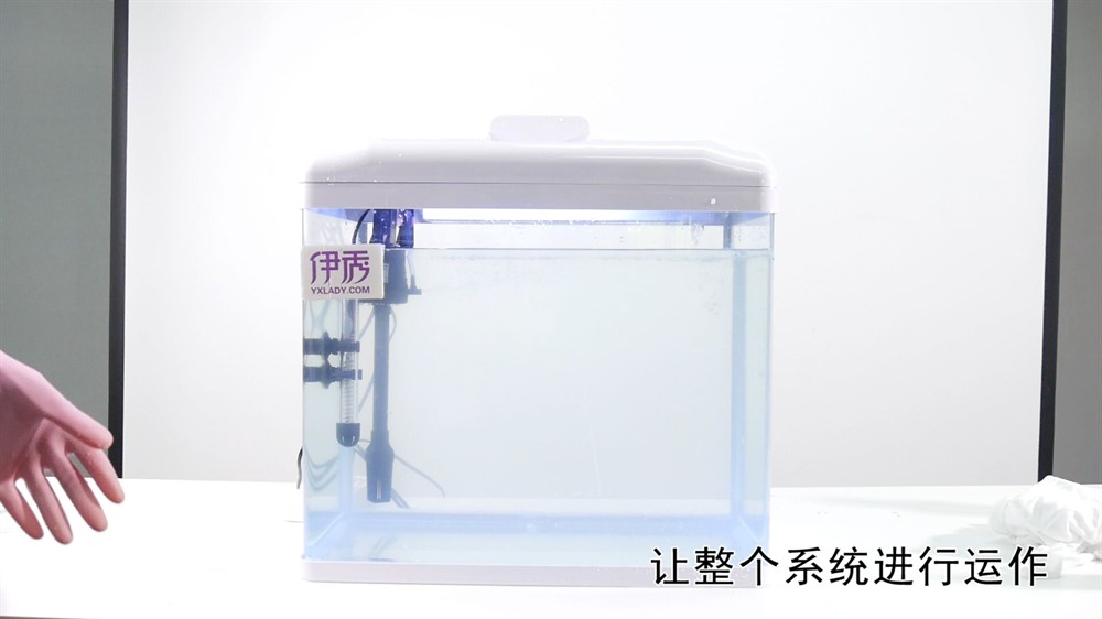 大魚缸的水多久換一次比較好：大魚缸換水頻率指南