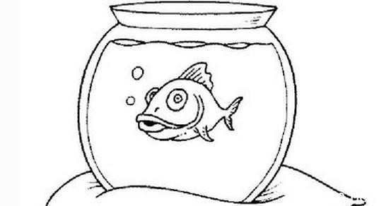 和龍魚虎魚混養(yǎng)的魚是什么魚啊（和龍魚虎魚混養(yǎng)的魚是什么魚啊圖片）