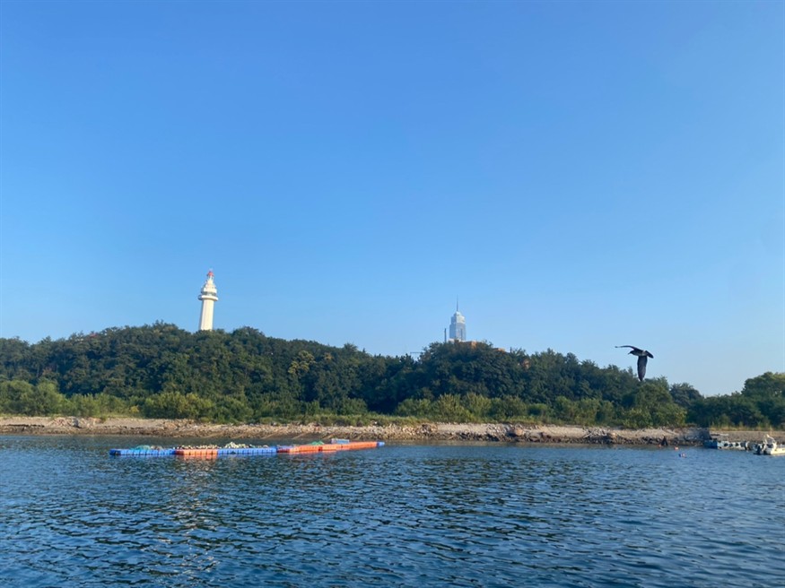 山東之旅3 龍魚論壇 第6張 山東之旅3 山東之旅3 龍魚論壇 第6張