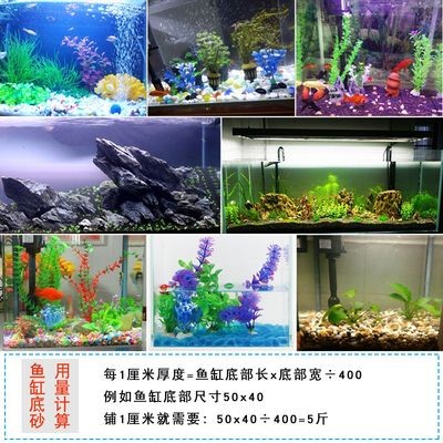 白色石頭魚(yú)缸造景圖：關(guān)于白色石頭魚(yú)缸造景的一些相關(guān)信息