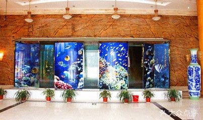 單縣哪里有賣(mài)魚(yú)缸的地方：?jiǎn)慰h有哪些賣(mài)魚(yú)缸的地方？