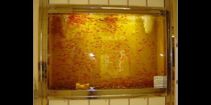 玻璃廠做魚缸嗎安全嗎視頻：如何自制安全魚缸