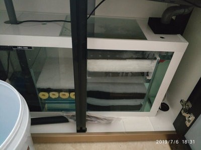 廣州虎魚批發(fā)價(jià)格多少錢一斤（廣州虎魚批發(fā)價(jià)格多少錢一斤啊）