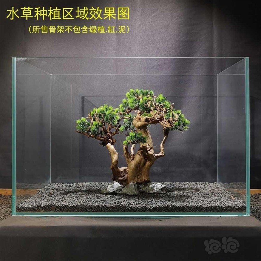 玻璃圓形魚缸怎么放綠植：在玻璃圓形魚缸中放置綠植需要考慮到植物的后期維護和注意事項