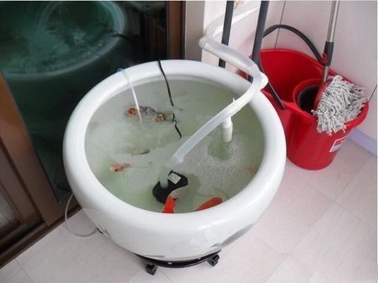 桐柏縣城關信義水族花卉屋（桐柏花店電話）