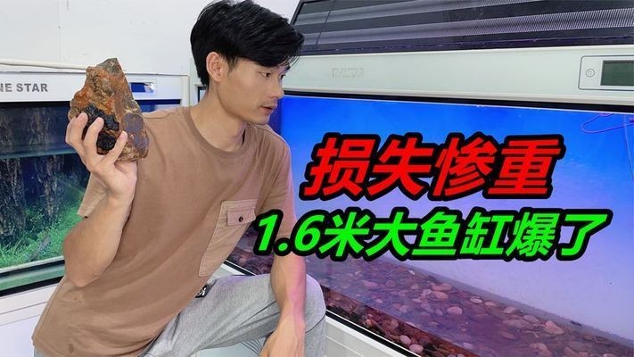 玻璃魚(yú)缸突然炸裂怎么辦：玻璃魚(yú)缸突然炸裂可能會(huì)導(dǎo)致水淹和人身傷害