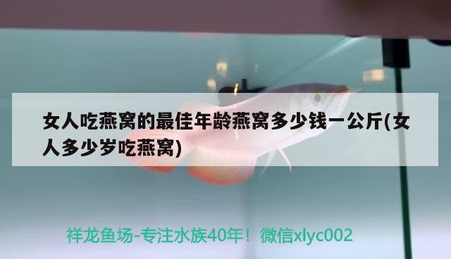 泰國虎魚和泰北虎魚的區別，印尼虎魚和泰國虎魚的區別