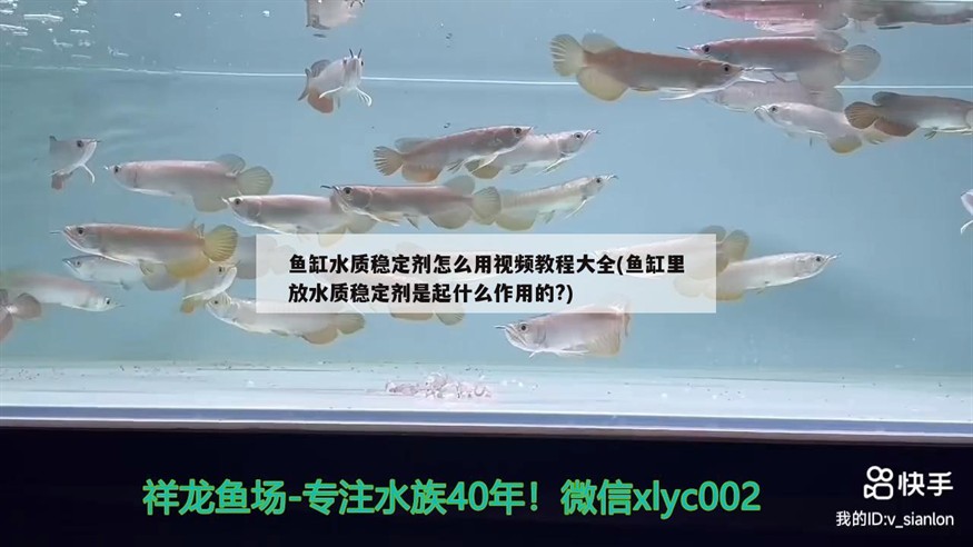 魚缸水質穩定劑怎么用視頻教程大全(魚缸里放水質穩定劑是起什么作用的?)