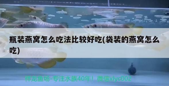 虎魚能和金龍魚一起養嗎：虎魚可以和金魚混養嗎