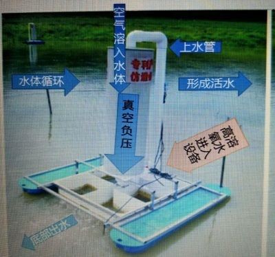 大魚缸需要增氧嗎：魚缸中的魚缸增氧泵需要足夠的氧氣才能維持生命活動