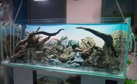 成都市錦江區精益水族店（成都市錦江區精益水族店地址）