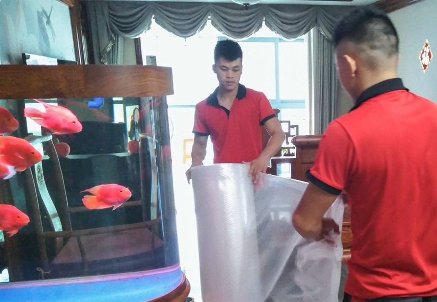 搬運魚缸綁繩技巧視頻：魚缸搬運技巧