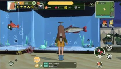 超大型魚王魚缸：關于超大型魚王魚缸的介紹