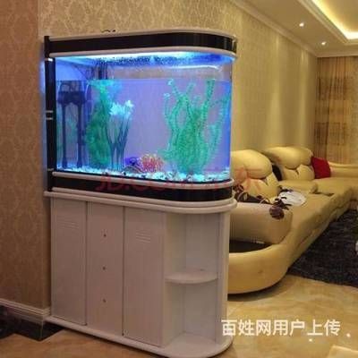 搬家魚(yú)缸魚(yú)的數(shù)量怎么算：加拿大學(xué)者尼爾森魚(yú)缸養(yǎng)魚(yú)數(shù)量的計(jì)算方法一般適用于中小型魚(yú)