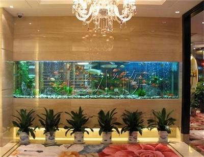 大型生態(tài)魚缸