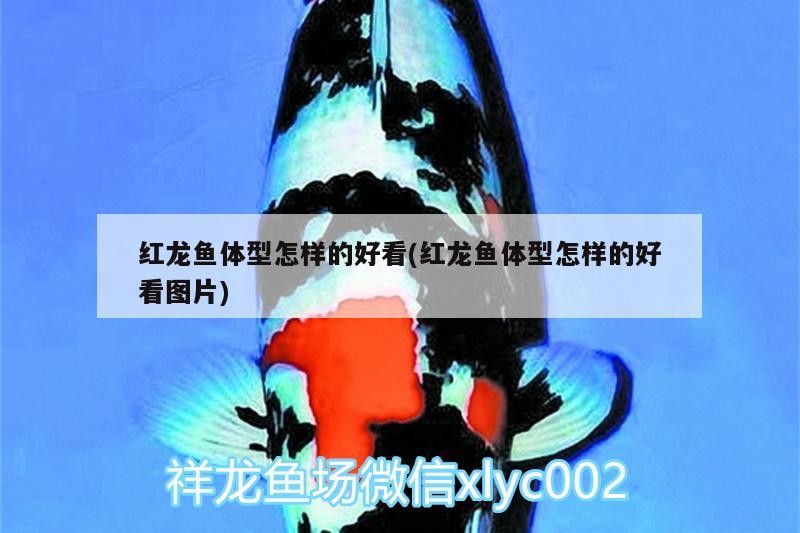 眉山市東坡區浩源水族館經營部（眉山市東坡區浩源水族館經營部電話）