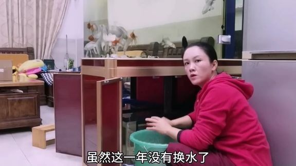 大梅家的魚缸怎么樣啊視頻：大梅家的魚缸是一個家庭版的海底世界
