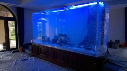 大魚缸怎么翻缸：大魚缸翻缸注意事項和注意事項魚缸翻缸注意事項