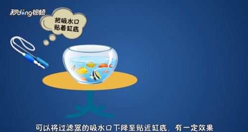 煙臺(tái)市福山區(qū)清洋新港灣水族器材店（煙臺(tái)市福山區(qū)清洋新港灣水族器材店電話）