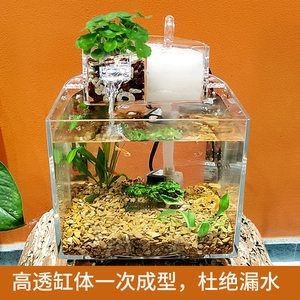 大魚缸小魚缸數學問題：從大魚缸倒出100/3升水到小魚缸