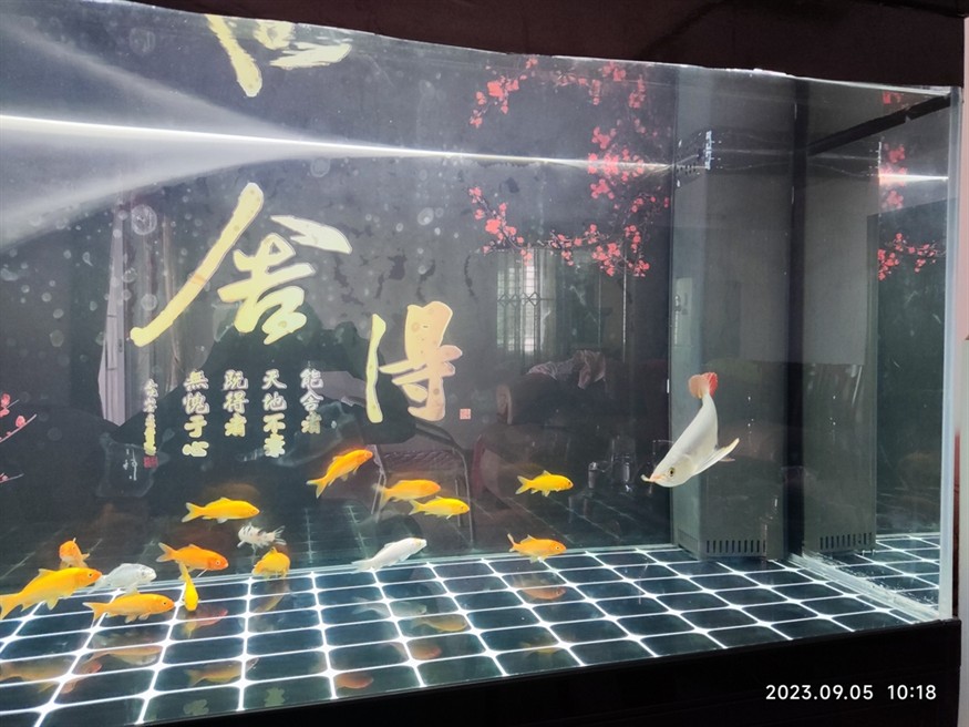 記錄一下，收到后四小時開口小2個??，第二天1個??