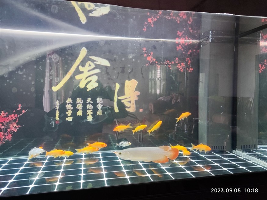 記錄一下，收到后四小時開口小2個??，第二天1個??