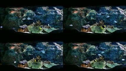 大話西游魚缸背景：大話西游主題的魚缸背景設計