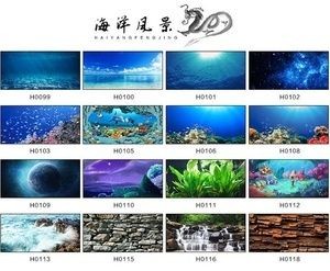 大話西游魚缸背景：大話西游主題的魚缸背景設計