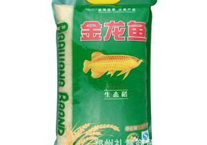 金龍魚批發價格