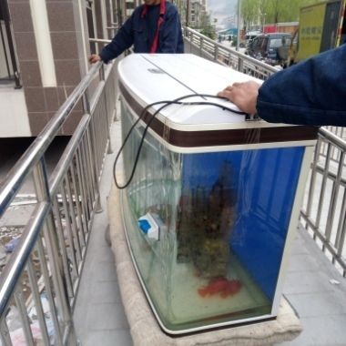 大型魚缸搬運注意事項視頻：關于大型魚缸搬運的注意事項